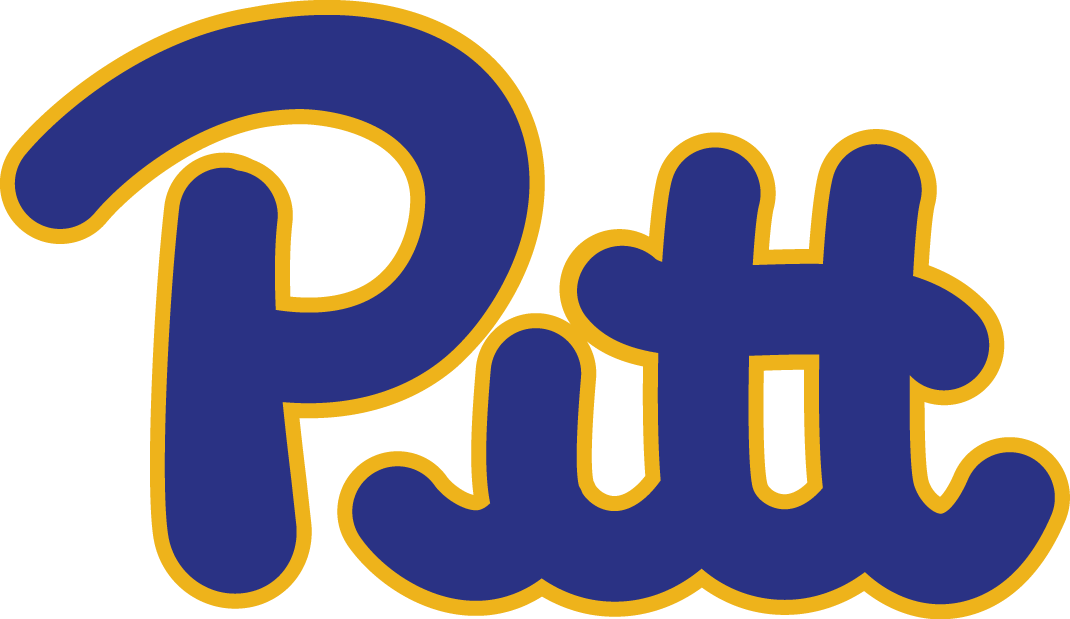 Pittsburgh Panthers 1973-1996 Wordmark Logo t shirts iron on transfers v2